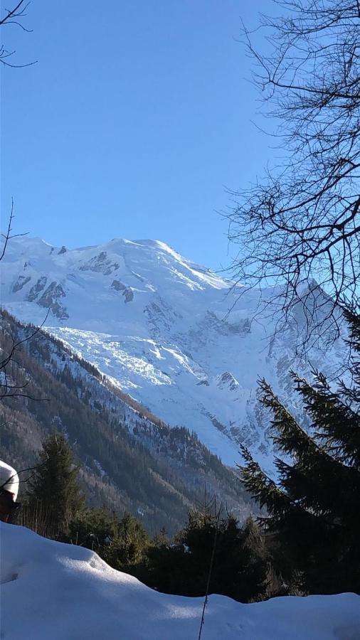 APPARTEMENT CHAMONIX MONTBLANC 1 à 4 personnes Exterior foto